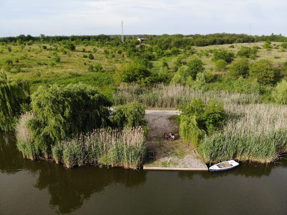 Tancabesti 5 - 7 iun. - 95980F79F6044EB59ABCF64B5B00E1FC.jpg